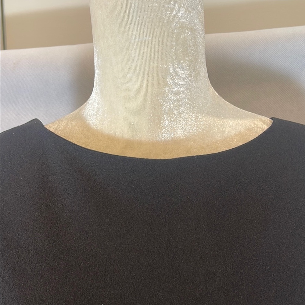 Elegant Black Dress with Pleated Sleeves - Picture 7 of 9